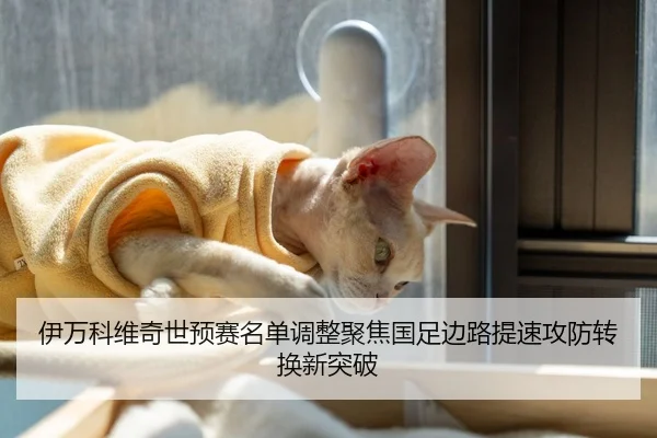伊万科维奇世预赛名单调整聚焦国足边路提速攻防转换新突破
